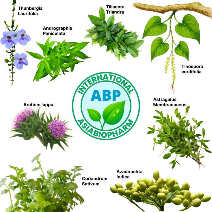 Комплекс Детоксикации - Detox Mixture (ABP)