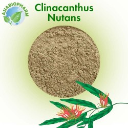 Clinacanthus (Powder)
