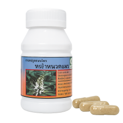 Ортосифон крупноцветковый капсулы - Orthosiphon Grandiflorus Capsules (LH)