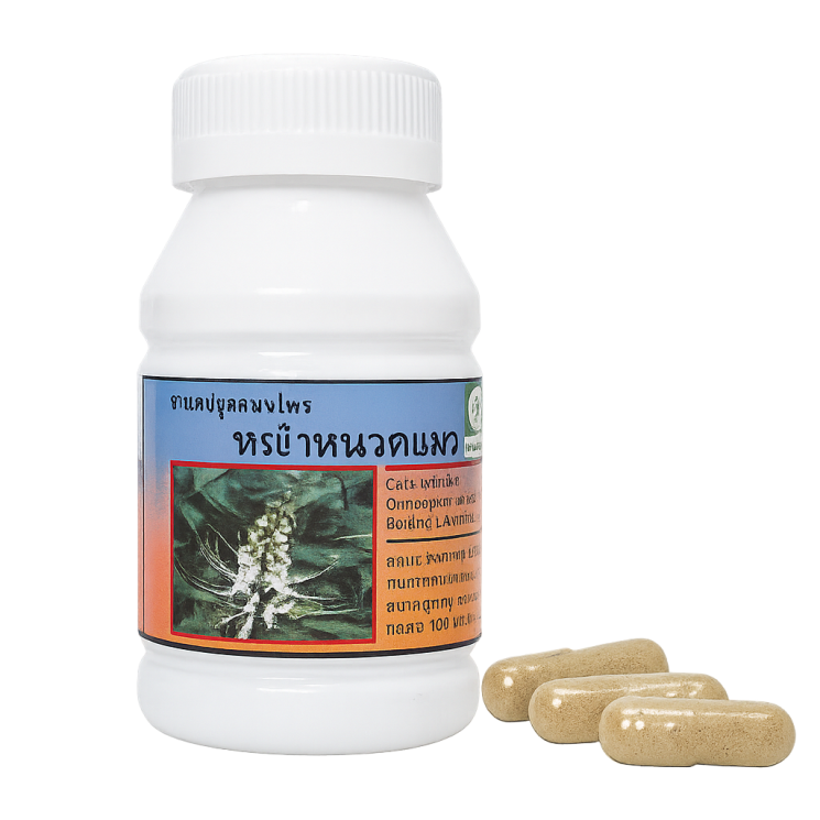 Ортосифон крупноцветковый капсулы - Orthosiphon Grandiflorus Capsules (LH)