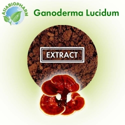 Ganoderma Lucidum extract 50% (powder)