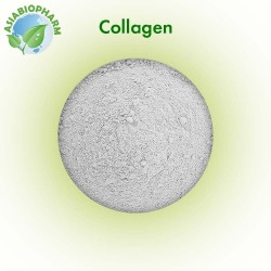 Collagen (Powder)