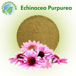 Echinacea Purpurea (Powder)
