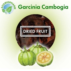 Garcinia Cambogia (Dried Fruit)