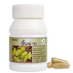 Сельдерей листовой капсулы - Apium Graveolens Capsules (LH)