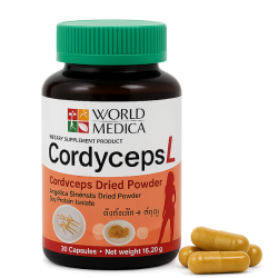 Кордицепс микстура L капсулы - Cordyceps L Compound Capsules (KLO) 