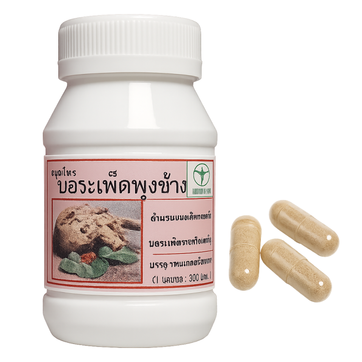 ​Стефания Пьерре капсулы – Stephania pierrei Capsules (LH)
