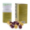 Gaminboganyak capsules for oral administration (Pugang Pharmaceutic)