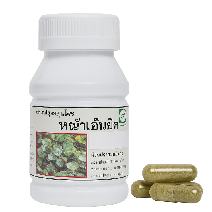 ​Стреблус шероховатый капсулы - Streblus Asper Capsules (LH)