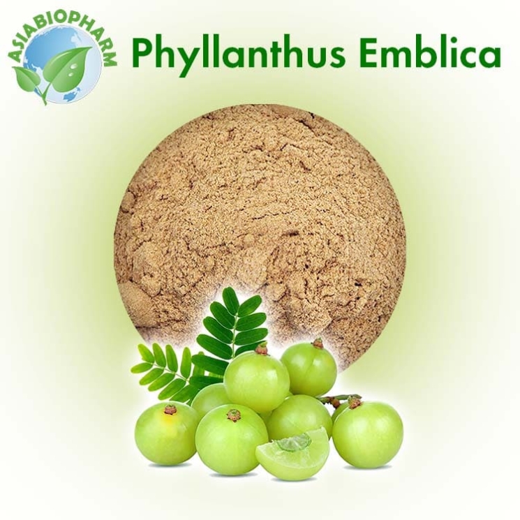 Phyllanthus Emblica (Powder)