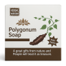 Мыло алопеция - Hair Tonic Soap Polygonum (Yangzhou)