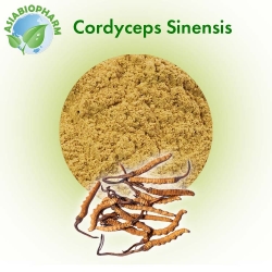 Cordyceps  (Powder)