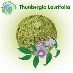 Тунбергия Лавролистная (Порошок)