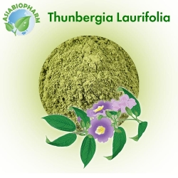Tunbergia Lorbeer (Pulver)