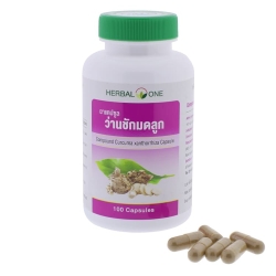 Curcuma Zanthorrhiza mixture capsules (Herbal One)