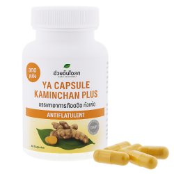 Tumeric Plus capsules (Herbal One)