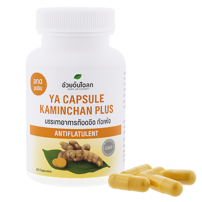 Турмерик плюс микстура капсулы - Kamin Chan Plus Compound Capsules (Herbal One) 