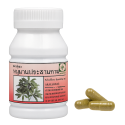 ​Шеффлера белоцветковая капсулы - Schefflera Leucantha Capsules (LH)
