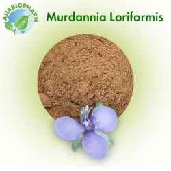 Murdannia (Powder)