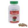 Compound Safflower Capsule (Herbal One)