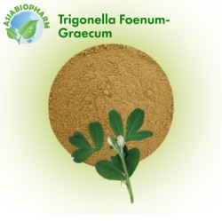 Trigonella Foenum-Graecum seeds (Powder)