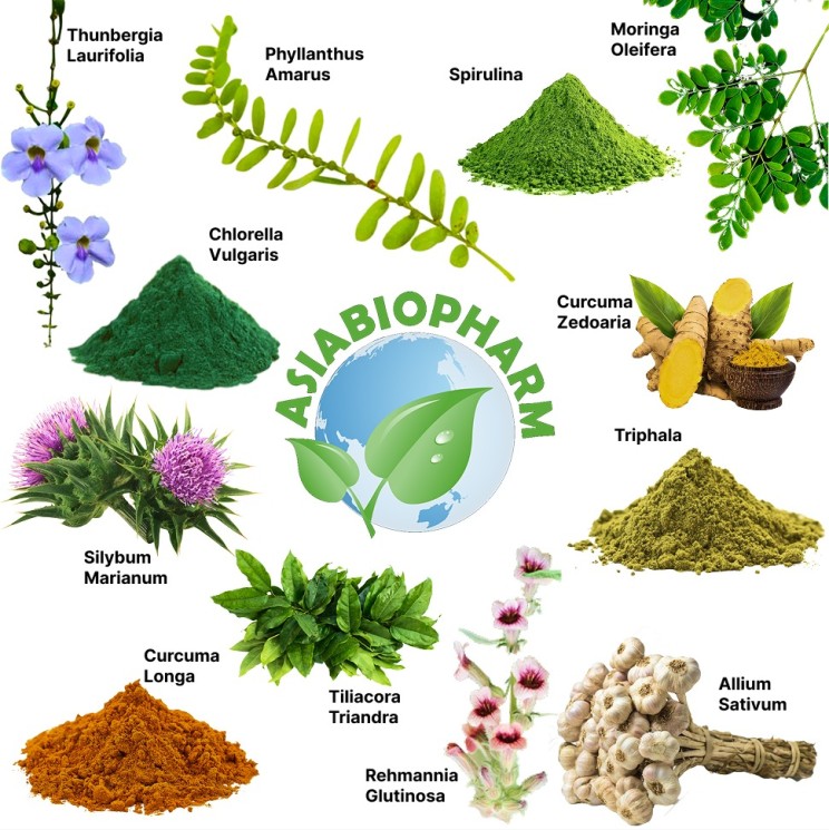 Комплекс детоксикации металлов и ксенобиотиков - Metals and Xenobiotics Detoxification Complex (ABP) Комплекс детоксикации металлов и ксенобиотиков - Metals and Xenobiotics Detoxification Complex (ABP)