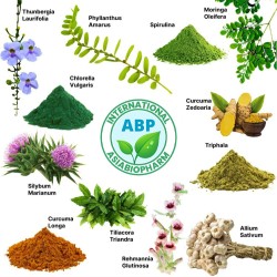 Комплекс детоксикации металлов и ксенобиотиков - Metals and Xenobiotics Detoxification Complex (ABP)