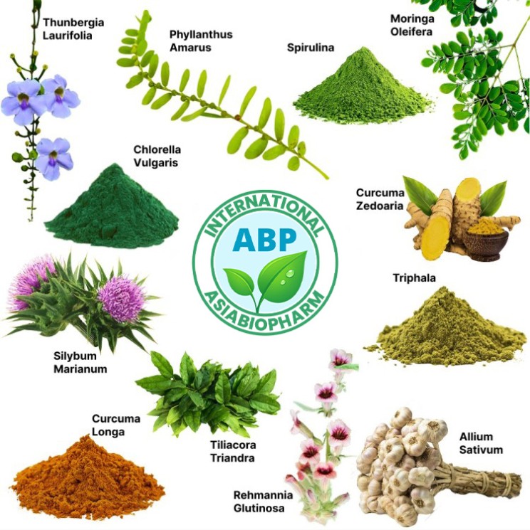 Комплекс детоксикации металлов и ксенобиотиков - Metals and Xenobiotics Detoxification Complex (ABP)